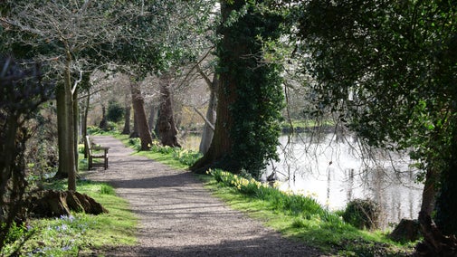 Gentlemans' walk in spring at Coughton Court, Warwickshire
